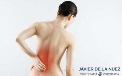 Contracturas musculares. Oclusión y postura.