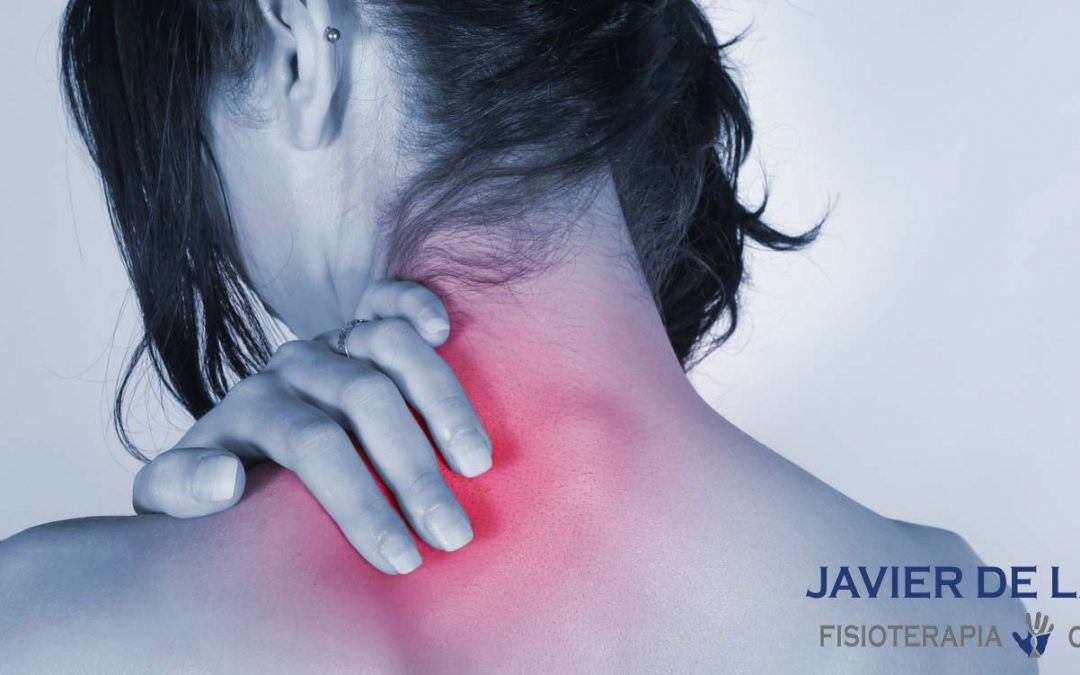 Ejercicios para fortalecer la musculatura cervical