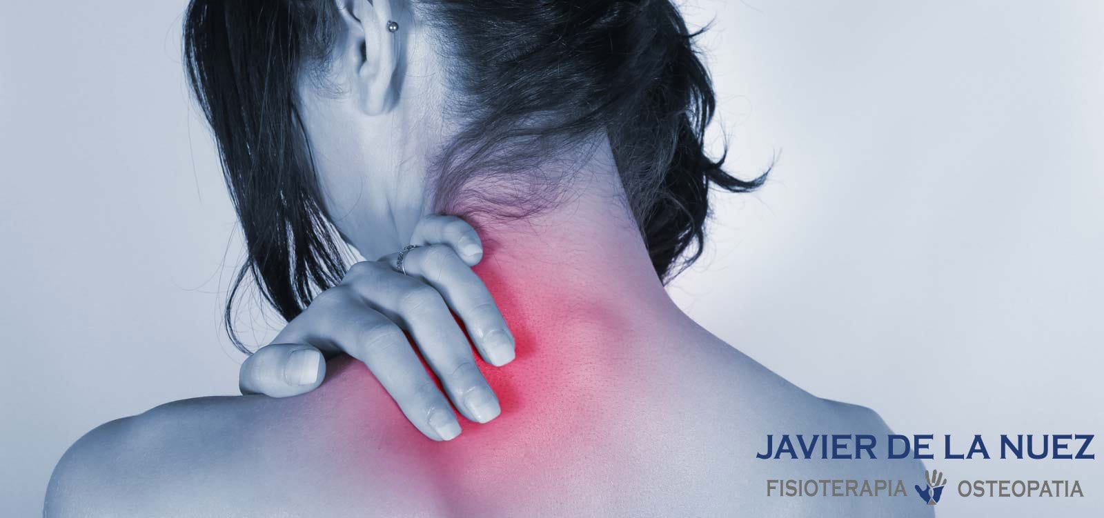 musculatura-cervical musculatura-cervical