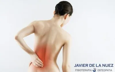 Contracturas musculares. Oclusión y postura.