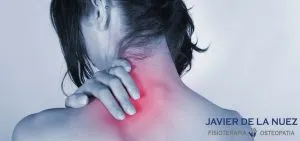 musculatura-cervical