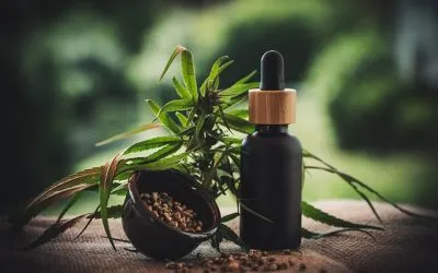 El CBD como aliado para el rendimiento deportivo: Descubre sus beneficios