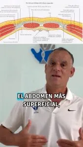 abdominales musculos